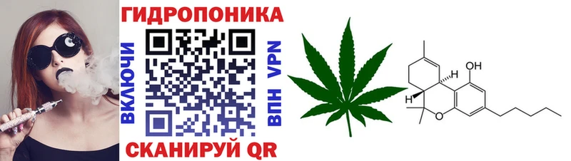 сайты даркнета наркотические препараты  гидра онион  Шишки марихуана LSD WEED  Усть-Джегута  цена  